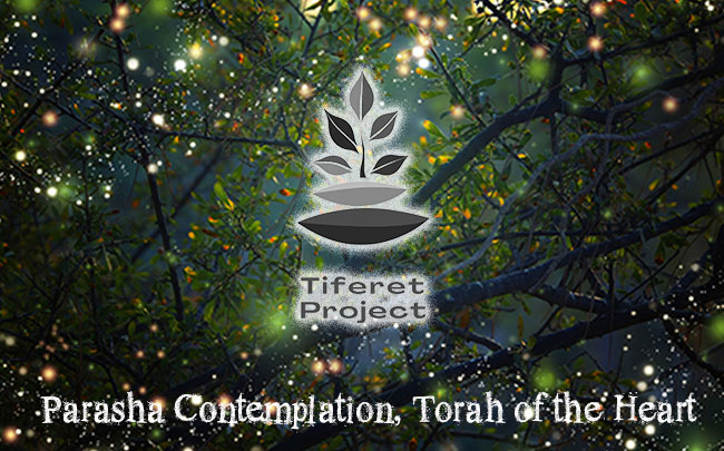 Or HaGanuz - Hidden Light Yoga